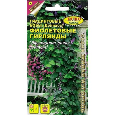 Гиацинтовые Бобы Фиолетовые гирлянды (Код: 5852)