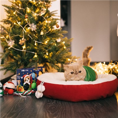 Лежанка «Снежок», 56×46×13 см, красный