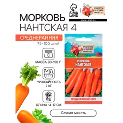 Семена Морковь "Нантская 4", 2 г