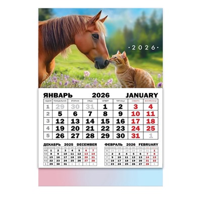 Календарь настенный квартальный 2026 «Лошадь с котенком», 30×46 см