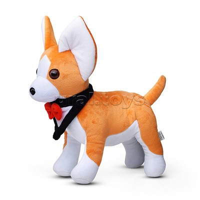 Чихуахуа Лорд коричневый В30