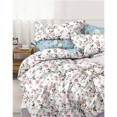 Текс-плюс КПБ Общий НФ-00000188