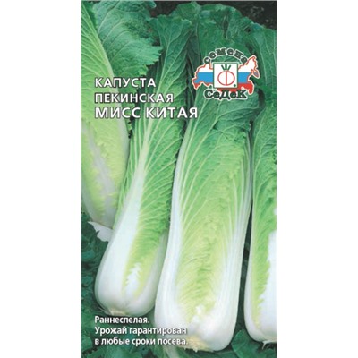 Капуста Пекинская Мисс Китая СеДек