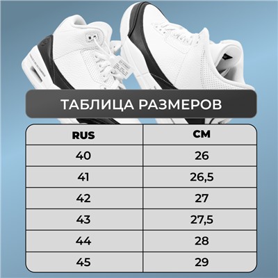 Кроссовки мужские демисезонные R0527-9 серые п/п