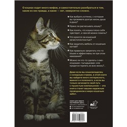 АСТ Анна Орлова "Главная книга владельца кошки"