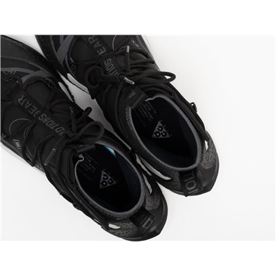 Кроссовки Nike ACG Air Terra Antarktik