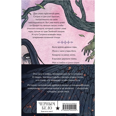 450610 Эксмо Анна Ёрм "Саги огненных птиц (комплект из двух книг: Саги огненных птиц+Руны огненных птиц)"