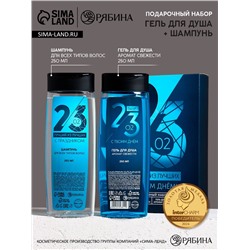 Подарочный набор «23 Февраля», гель для душа и шампунь для волос, 2×250 мл, HARD LINE