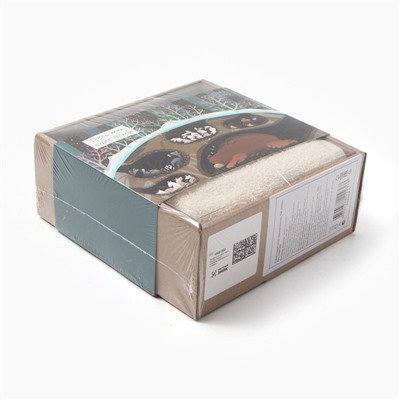 Подарочный набор «Этель. Зимняя спячка», 5 предметов, полотенце 30×60 см, полотенце, мочалка, щётка - массажёр