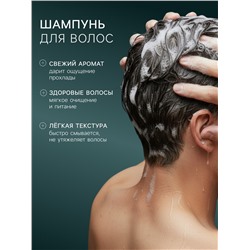 Подарочный набор мужской Norland Men Ice Freshness, гель для душа 250 мл, шампунь 250 мл