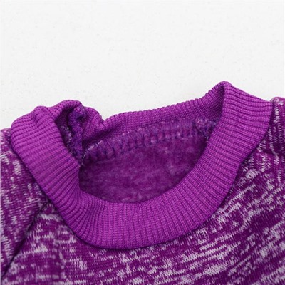 Свитер для животных меланжевый, размер S, ДС 20, ОШ 23, ОГ 25 см, фиолетовый