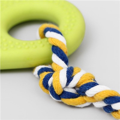 Игрушка жевательная для собак «Ладошка», 10 см, с канатом, салатовая