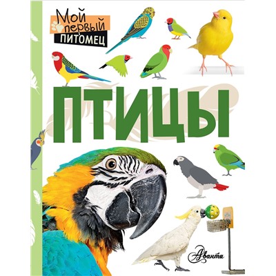 АСТ Наталия Аронова "Птицы"