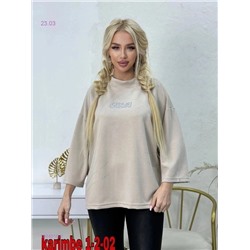 Толстовка бронь 1904019-2