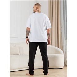 Брюки мужские Тор-3