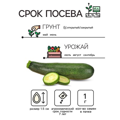 Семена Кабачок цуккини "Фараон", 1 г