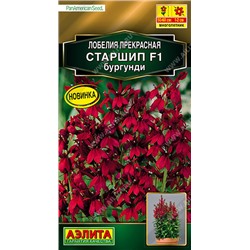 1610A Лобелия Старшип F1, бургунди 5 шт