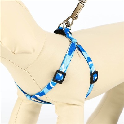 Шлейка с поводком «Камуфляж», ширина 1 см, шлейка 21-35 см, поводок 120 см, капрон, синяя, голубая