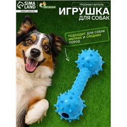 Жевательная игрушка для собак «Грозная гантель», 15×5 см, синяя