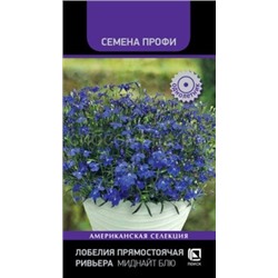Лобелия Ривьера Миднайт Блю (П)