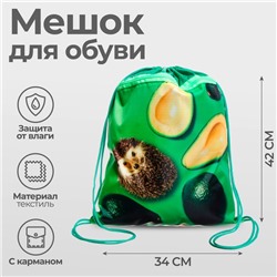 Мешок для обуви Calligrata на шнурке, с рисунком, размер 42×0.5×34 см, зелёный