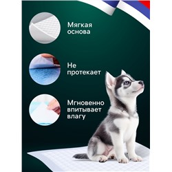 Пеленки впитывающие «ПИЖОН» для животных целлюлозные, 60×90 см (в наборе 30 шт.)