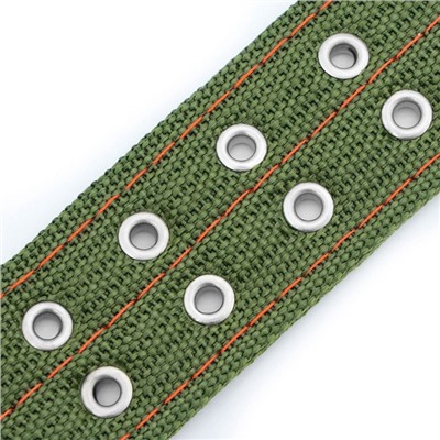 Ошейник, 80×4.9 см, ОШ 64-74 см, четырёхслойный, с вертлюгом, полиэстер, зелёный