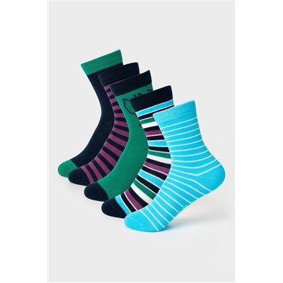 Носки трикотажные для мальчиков, 5 пар в комплекте PLAYTODAY, 1239796