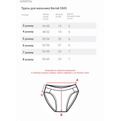 Трусы для мальчика Berrak
