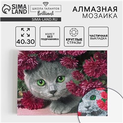 УЦЕНКА Алмазная вышивка на холсте 30×40 см с частичным заполнением «Котенок»