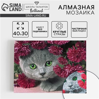 УЦЕНКА Алмазная вышивка на холсте 30×40 см с частичным заполнением «Котенок»