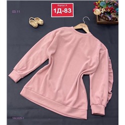 Свитшот 1843325-1