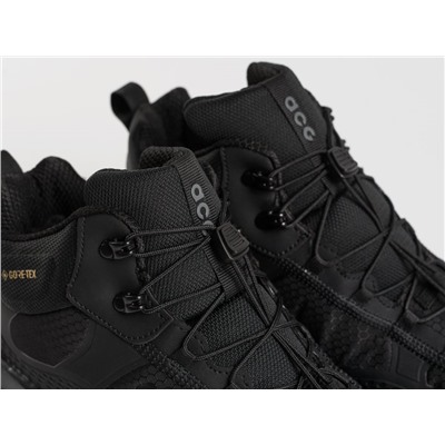 Зимние кроссовки Nike ACG Mountain Fly Mid