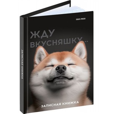 Записная книжка А6  48л клетка "МИЛЫЙ ЗАБАВНЫЙ ПЁС" лен 48-7096 Проф-Пресс
