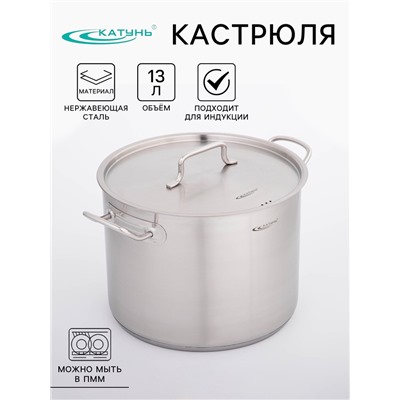 Кастрюля Катунь «Общепит», 13 л, d=28 см, h=21 см, капсульное дно, индукция, нержавеющая сталь