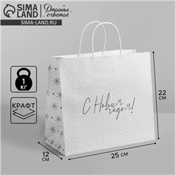 Пакет подарочный новогодний крафт «Чудесный праздник», 25×22×12 см