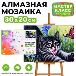 Мозаика алмазная "Игривый котик" 20*30см.