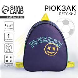Рюкзак детский для мальчика Freedom, 23×20.5 см, отдел на молнии, синий