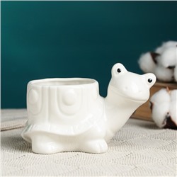 Декоративный горшок для цветов «Черепашка», керамический, 170 мл, 14×8.5×9 см, белый, Greengo