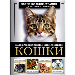 АСТ Дмитрий Смирнов, Анна Спектор "Кошки. Большая визуальная энциклопедия"