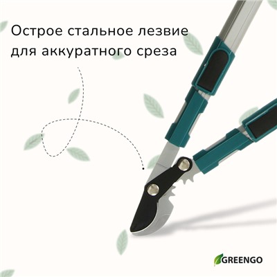 Сучкорез профессиональный, 26.4−37" (67.5−94 см), телескопический, с пластиковыми ручками, МИКС, Greengo