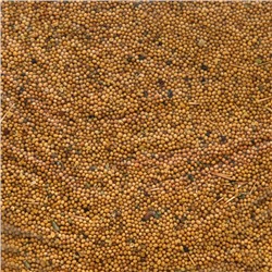 Семена Горчица белая, Мой Выбор, 1 кг