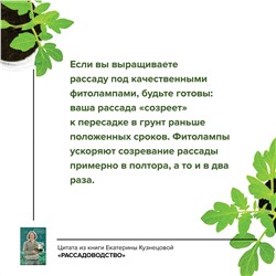 АСТ Екатерина Кузнецова "Рассадоводство. Первые шаги к здоровому урожаю"
