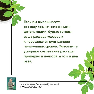 АСТ Екатерина Кузнецова "Рассадоводство. Первые шаги к здоровому урожаю"