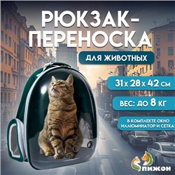 Рюкзак для переноски животных, 31×28×42 см, прозрачный, сине-зелёный