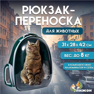 Рюкзак для переноски животных, 31×28×42 см, прозрачный, сине-зелёный