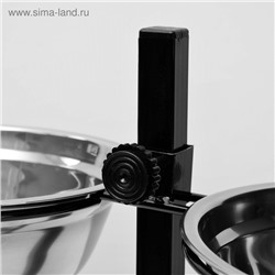 Подставка с мисками, 2×2 л, высота 50 см, разборная, чёрная