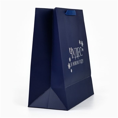 Пакет подарочный новогодний «Чудес в Новом году», голография, ML 23×11.5×27 см