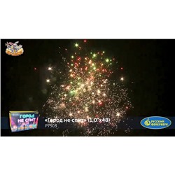 Фейерверк Р7503 Город не спит (1" х 48)