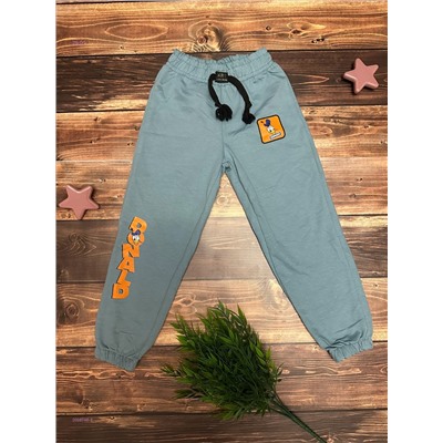 штаны 2058746-3